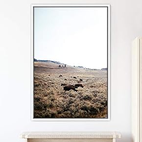 signwin Framed Canvas Wall Art Animal on Field...
