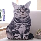 HitHopKing 3D cat shape pillow ，Creative 3D