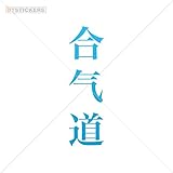 Hobby Vinyl Decal Hieroglyph Hapkido hobby decor master activity aggressive wrestling (20 X 5,82 Inches) Blue