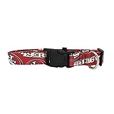 NFL San Francisco 49ers Team Pet Collar, Medium