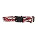 NFL San Francisco 49ers Team Pet Collar, Medium