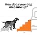 USA Made Pet Steps/Stairs with CertiPUR-US Certified Foam for Dogs & Cats by Best Pet Supplies – Dark Gray Linen, 5-Step (H: 22.5″)thumb 4