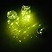 Solar Mason Jar Fireflies Jar Lights, 2-Pack Large Size Clear Mason Jar Build-in 20 LEDs Yellow-Green Fluorescence Fairy Firefly Led String Lights, Remote 8 Modes Flicker/Twinkle Lamp