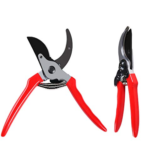 Terme 8" Small Professional Pruning Shears for Garden, Heavy Duty Tree Trimmers Sharp Bypass Hand Pruners with Stainless Steel Blades and Ergonomic Handle Fruit Trimming Tool - Thumbnail 2