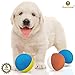 3 Rubber Chew Balls for Small Dogs & Puppies (2.4