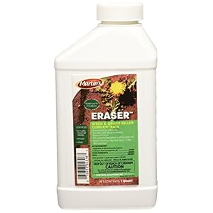 Control Solutions 82004318 Concentrate herbicide, 1 Quart, Multi
