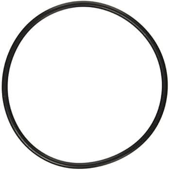 Amazon.com: Hayward SPX1500P Strainer Cover O-Ring