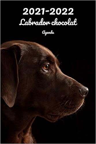 Calendrier Chocolat 2023 2021-2022 Labrador Chocolat Agenda: Hebdomadaire Et Mensuel | A5, 152 Pages  | 26 Mois | Planificateur & Organiseur | Calendrier | Journal | En Francais  | Chien (French Edition): Xlpress, Cahiers Carnets: 9798689428932:  Amazon.com: Books