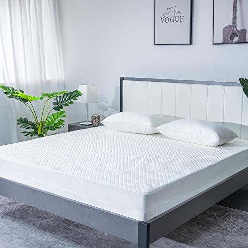 Queen Size Bamboo Rayon Mattress Protector with Zipper 100