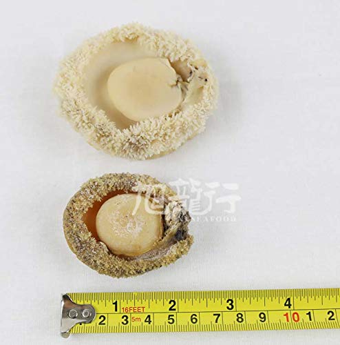 5 XLSEAFOOD+Haliotis+australis+14+18pc+%25E7%2589%25B9%25E7%25BA%25A7%25E5%258D%2597%25E9%259D%259E%25E6%25BA%258F%25E5%25BF%2583%25E5%25B9%25B2%25E9%25B2%258D%25E9%25B1%25BC