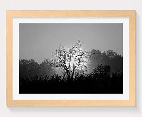 Amazon Co Jp 夕日 の木のシルエット 自然 木製フォトフレーム 写真フレーム 木製 の枠 装飾画 壁掛け 壁飾り 壁ポスター 木製タグ おしゃれ ウォールアート アートパネル 壁の絵 インテリア絵画 額縁 部屋飾り 贈り物 プレゼント 黒と白 横 30 40cm Home
