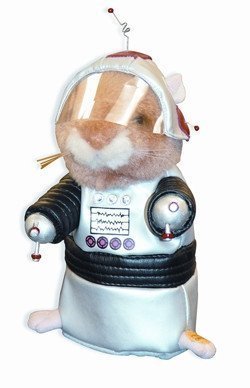 robot hamster