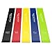Wesoo Resistance Bands, 5 Pcs Exercise Bands with E-Book/User Guide/Carry Bag, Resistance Loop Bands for Yoga/Pilates/Stretching/Strengthening/Fat Burning Exercises/Physical Therapy