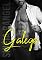 Livro GALEGO (Amores Sertanejos Livro 2)