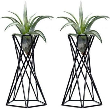 Amazon Com Beau Garden Pack Of 2 Tabletop Metal Big Air Plant Holders Big Air Plant Stands Air Plant Containers Air Plant Racks Tillandsia Stands Tillandsia Holders Tillandsia Racks Black Garden