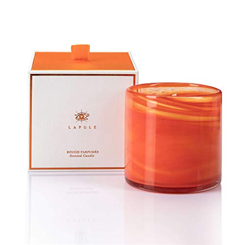 Lapule Scented Candle | Long Lasting Aromatherapy Candles with Natural Fragrance | Soy Wax | For Stress Relief, Relaxation, Anxiety, Homesick | Decorative Glass Vessel | Home and Kitchen Decor