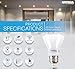 Parmida LED PAR20 Bulb, 7W (50W Equivalent), Dimmable, 500lm, Flood Light Bulb, Indoor/Outdoor, Wet Location Rated, UL-Listed (5000K (Day Light), 4 Pack)