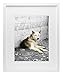 Golden State Art, 16X20 Picture Frame with Mat for 11X14 - High Definition Glass Wall Mounting Horizontal Vertical Display (White, 1 Pack)