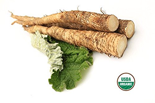 Organic Burdock Root ìš°ì—‰ì°¨ - Arctium lappa Roasted Loose Burdock Root Cut 100% from Nature (1 oz)