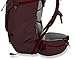 Mountainsmith Apex WSD Backpack, 60 L , Huckleberry