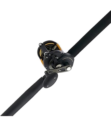 Amazon.com : PENN® Senator® Combo, Black/Smoke/Red, 6'6