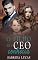 Livro O Filho que o CEO não conhecia