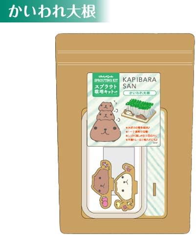 カピバラさん スプラウト栽培キット かいわれ大根 国内正規総代理店アイテム Kb1250