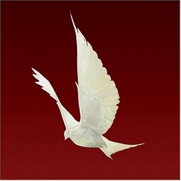Dove Floor Amazon De Musik