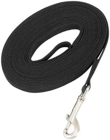 amazon long dog lead