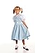 Kidcostumes Child's Dorothy Costume Dress for The Wizard of Oz, Large 10/12