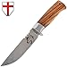 Fixed Blade Hunting Knife - Decorative Stainless Steel Hunting Knofe with Wood Handle - Birthday Christmas Gifts for Men FB 1910 Z