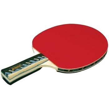 Amazon.com : Prince PRP800 Professional Table Tennis