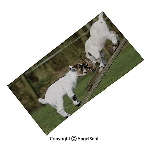 Worksheet Magic at Mvhigh | TOP Worksheet Magic Results