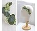 FIDDY898 Faux Baby Breath Flower Hair Piece Bridal Greenery Crown (Comb)