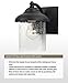 Sea Gull Lighting 84068-12 Lambert Hill One-Light Outdoor Wall Lantern with Clear Seeded Glass Shade, Black Finish