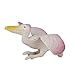 PIXNOR Bird Toys Plastic Model Bird Figures Toy - 12 Pieces
