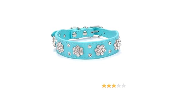 clover dog pet supply