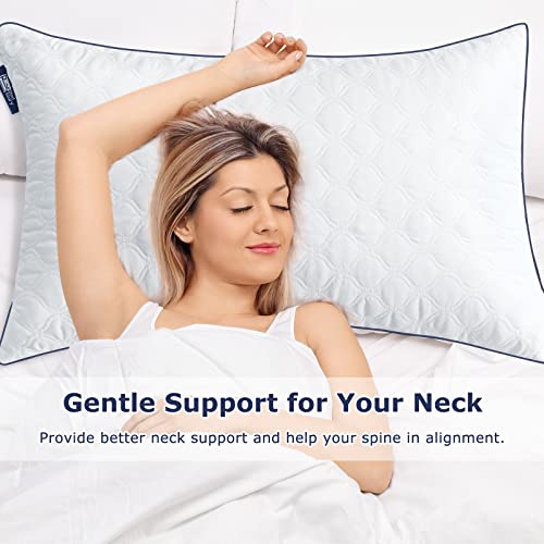 BedStory 2 Pack Standard Size Hotel Collection Pillows, Hypoallergenic