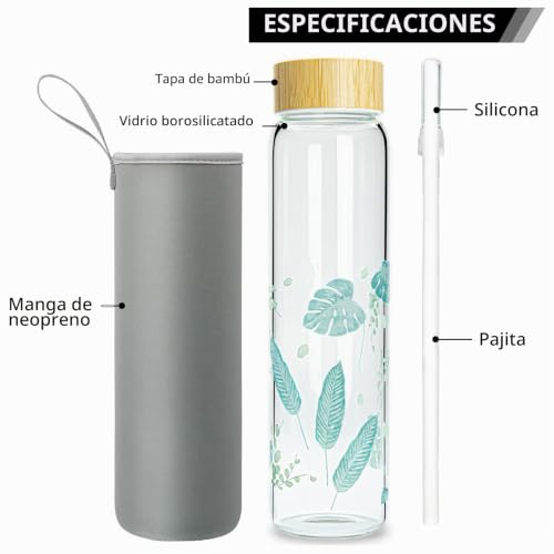 Ferexer Glass Water Bottle Glass Bottle 1 Litre/600 ML (1 Litre, Blue Leaf)