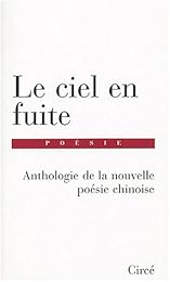 Le  ciel en fuite