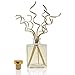 HOUZZ Interior Lemongrass & Ginger Home Fragrance Reed Diffuser | Scent Notes: Lemongrass, Eucalyptus, Ginger, Thyme, Cedarwood & Sage