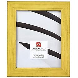 Craig Frames Jasper Picture Frame, 20 x 30