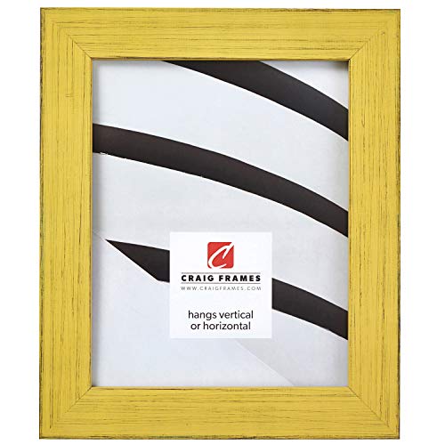 Craig Frames Jasper Picture Frame, 20 x 30