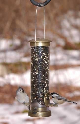 Aspects394 Quick-Clean Seed Tube Feeder, Small - Antique Brass