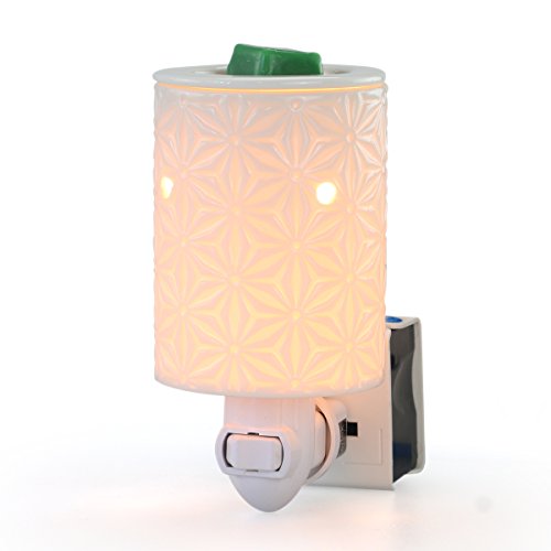 10 best wax warmer night light plug in for 2019 Sideror Reviews
