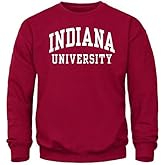 Barnesmith Crewneck Sweatshirt for College, Classic Logo, Color, Adult Unisex