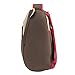 Dabbawalla Bags Preschool and Toddler Bear Backpack, Brown