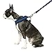 Gooby - Soft Mesh Harness, Small Dog Harness with Breathable Mesh, Blue, Medium