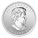 2013 Canada Polar Bear $8 1.5 Oz .9999 Silver Coin. First 1.5oz Issued