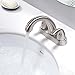 Single-Handle High-Arc Stainless Steel Faucet For Pre-Kitchen Sink/Bar Sink/Bathroom Sink By Phiestina, With 4 Inch Deck Plate And Supply Hoses, Mattet Black, WE08E-MB